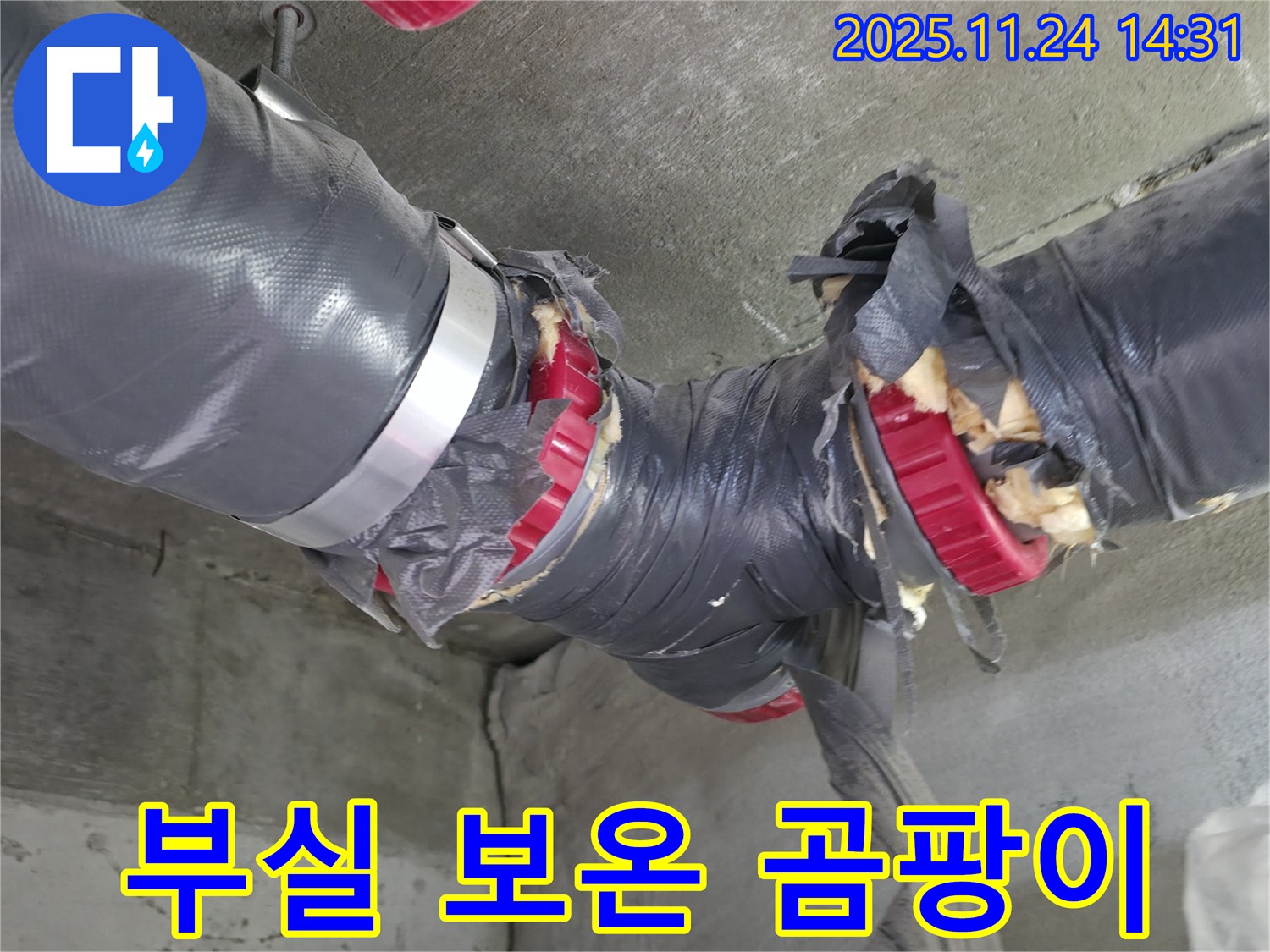 부실한 배관 보온재 - 곰팡이 번식 - 건강 위협 - 빠른 조치