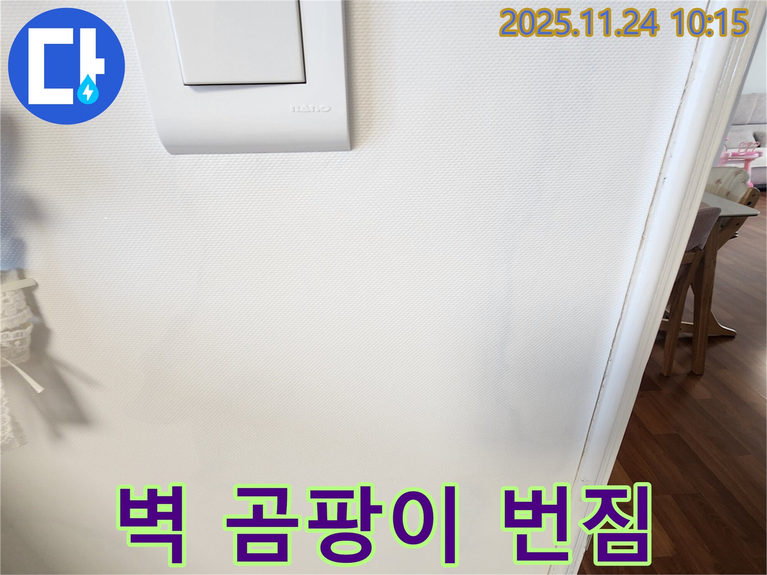 벽 곰팡이 - 근본 해결책