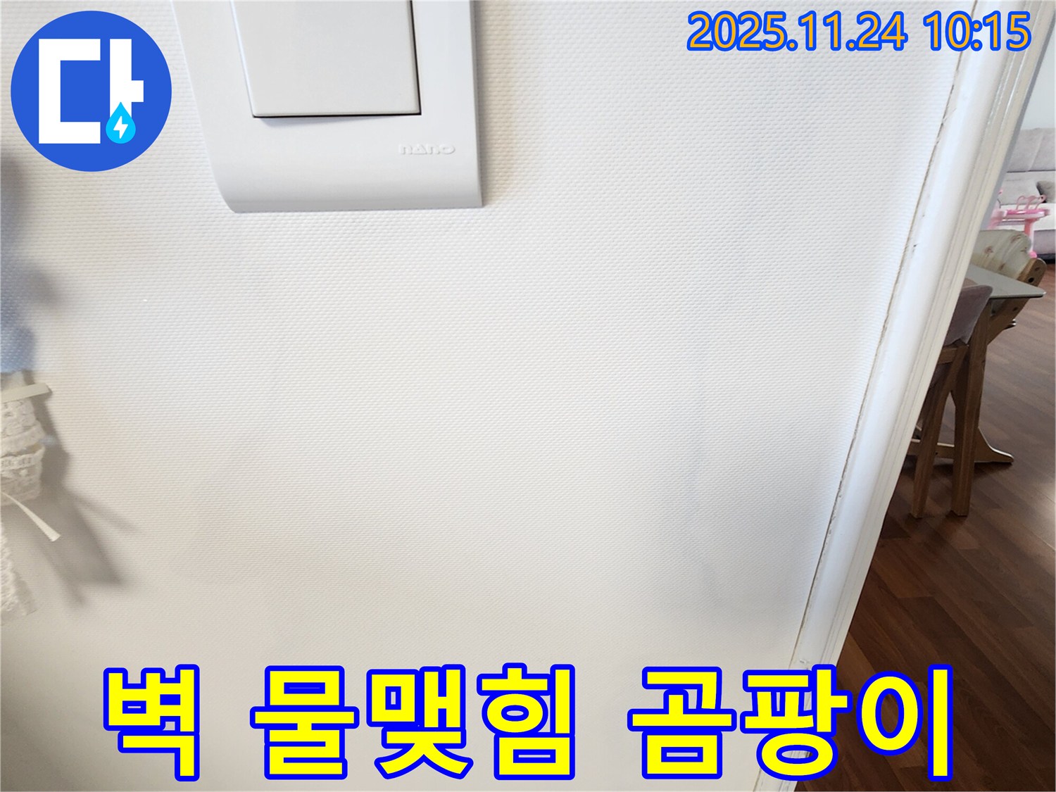 벽 물맺힘 - 곰팡이