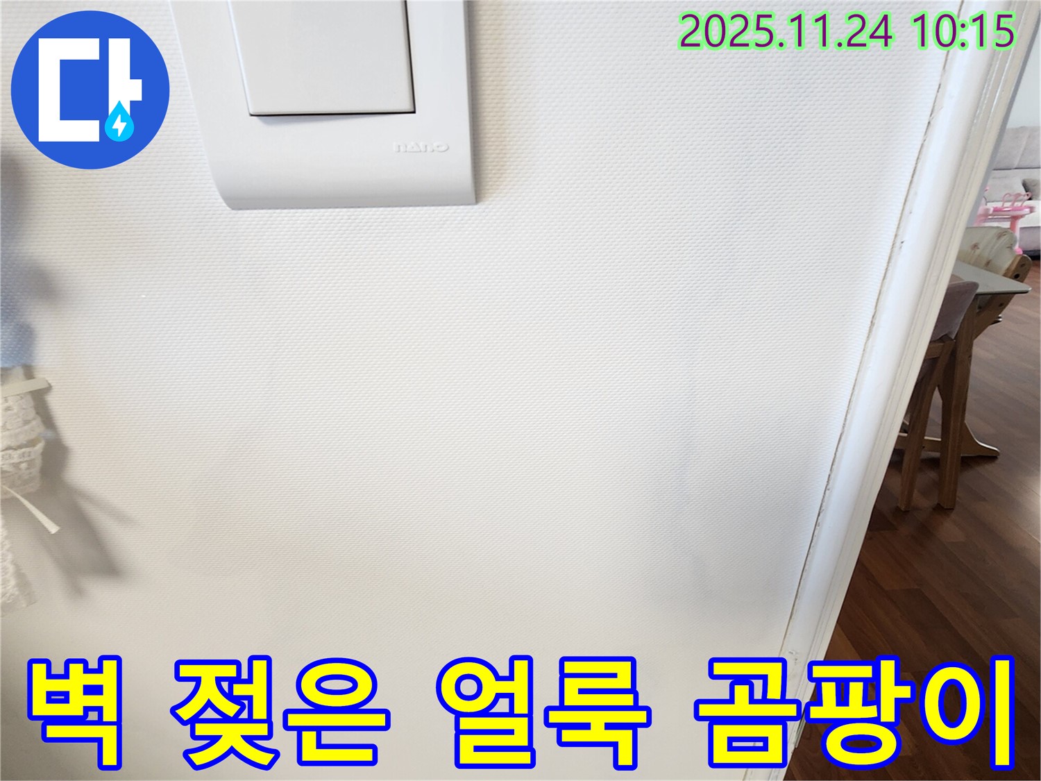 벽 젖은 얼룩 - 곰팡이 - 복합 문제