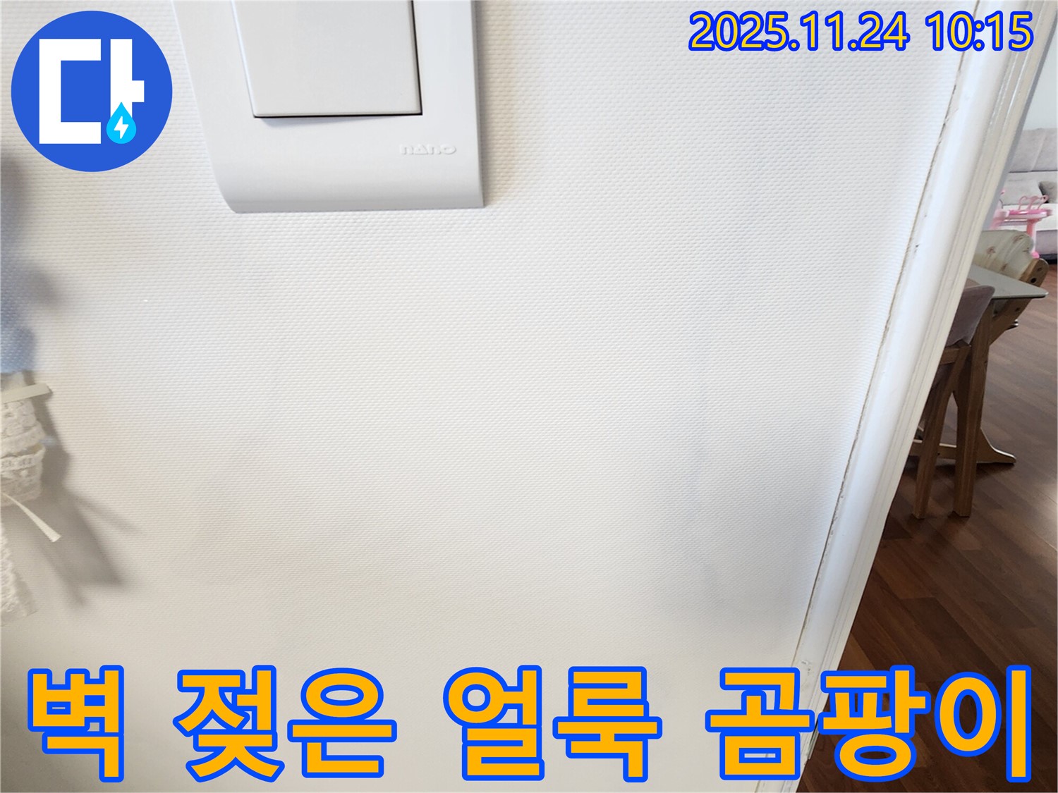벽 젖은 얼룩 - 곰팡이 콤보