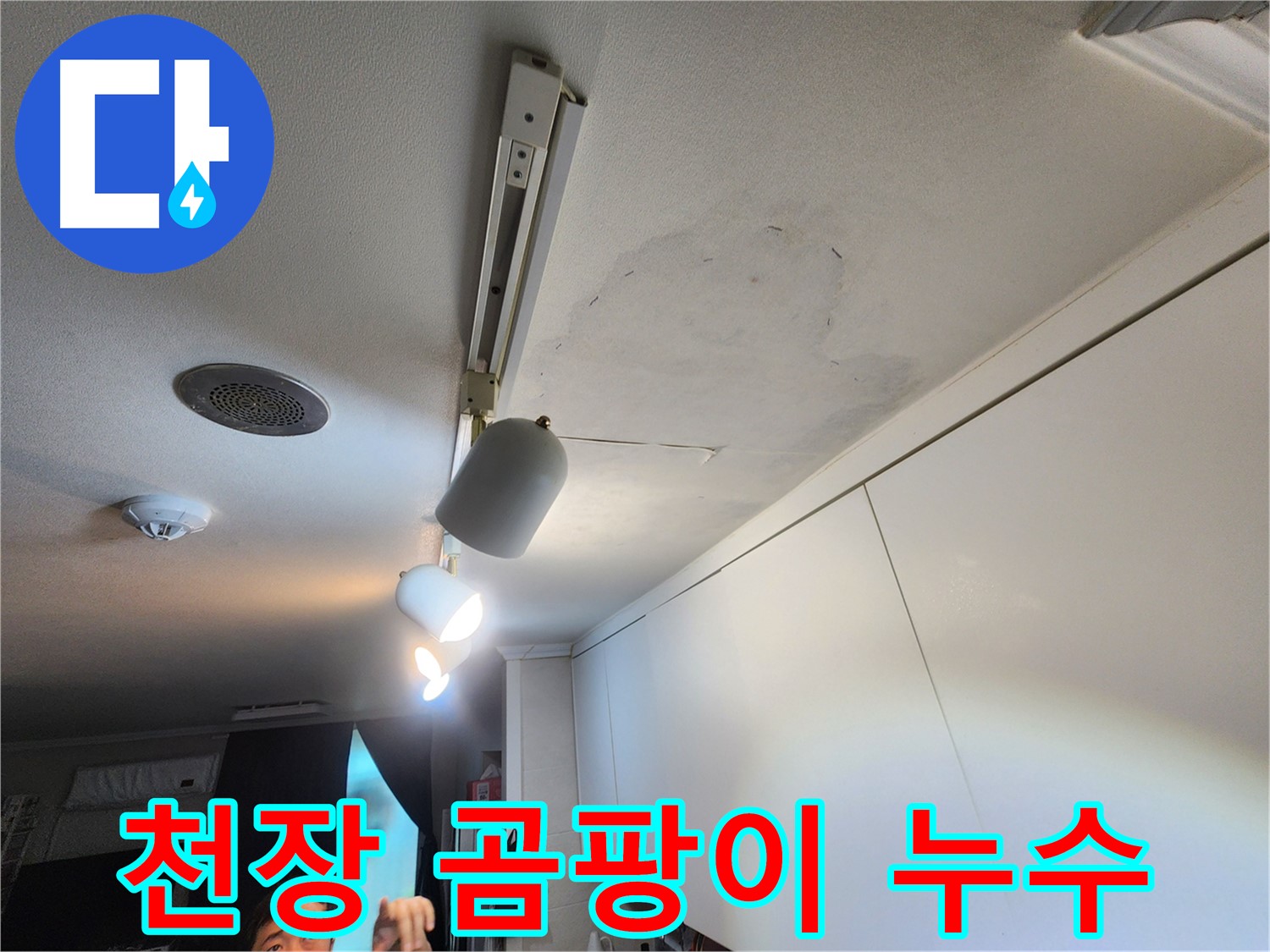 노원구 공릉동 아파트 천장 누수 - 곰팡이 심각 - 긴급 누수 해결 작전