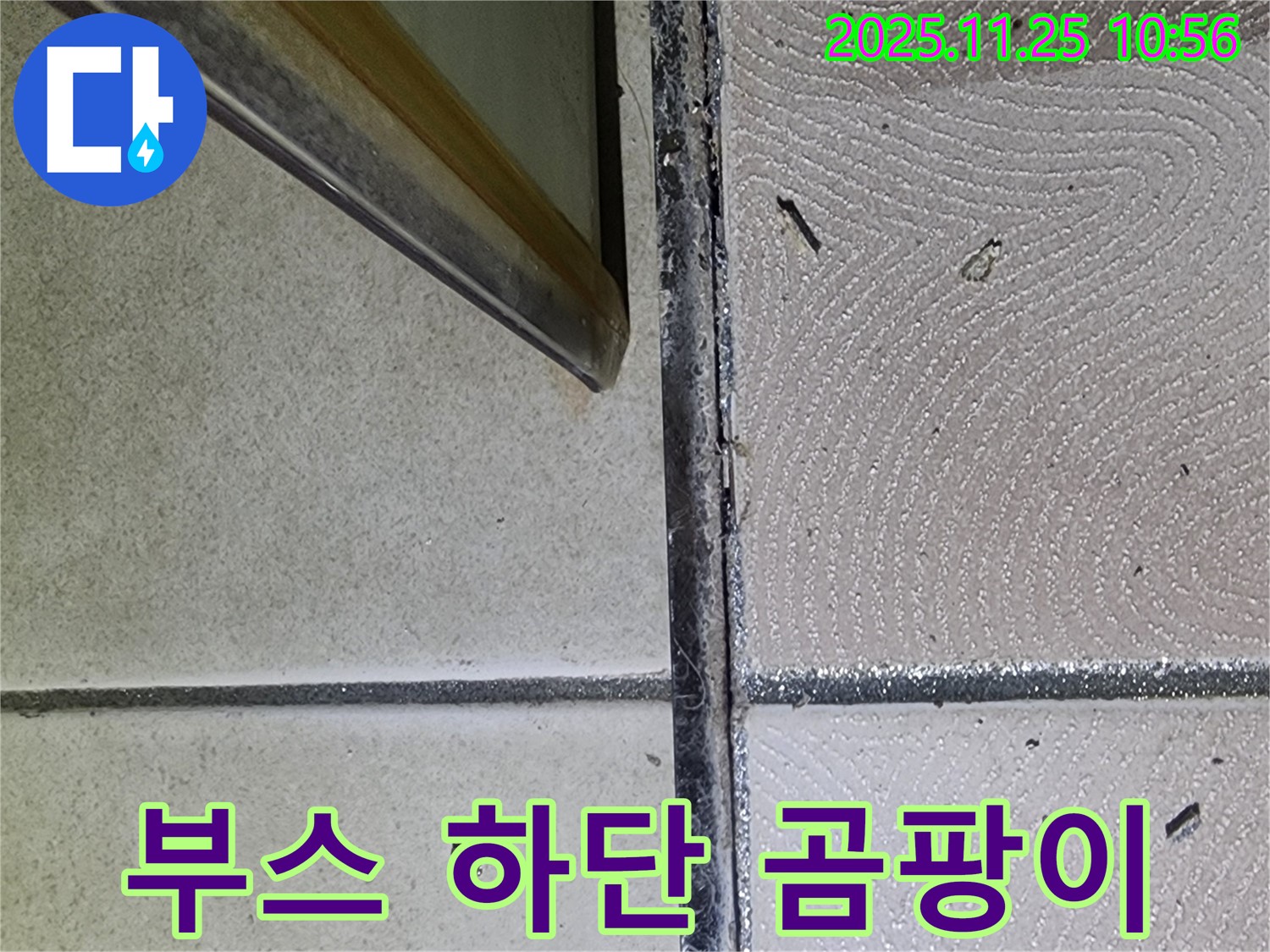 샤워부스 하단 곰팡이 - 곰팡이로 오염된 틈새 - 누수 방지 시공
