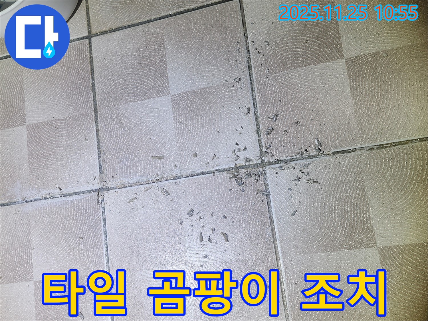 이의동 1326 - e편한세상 광교 아파트 누수, 깨진 타일로 인한 곰팡이 발생 전 조치가 중요합니다.