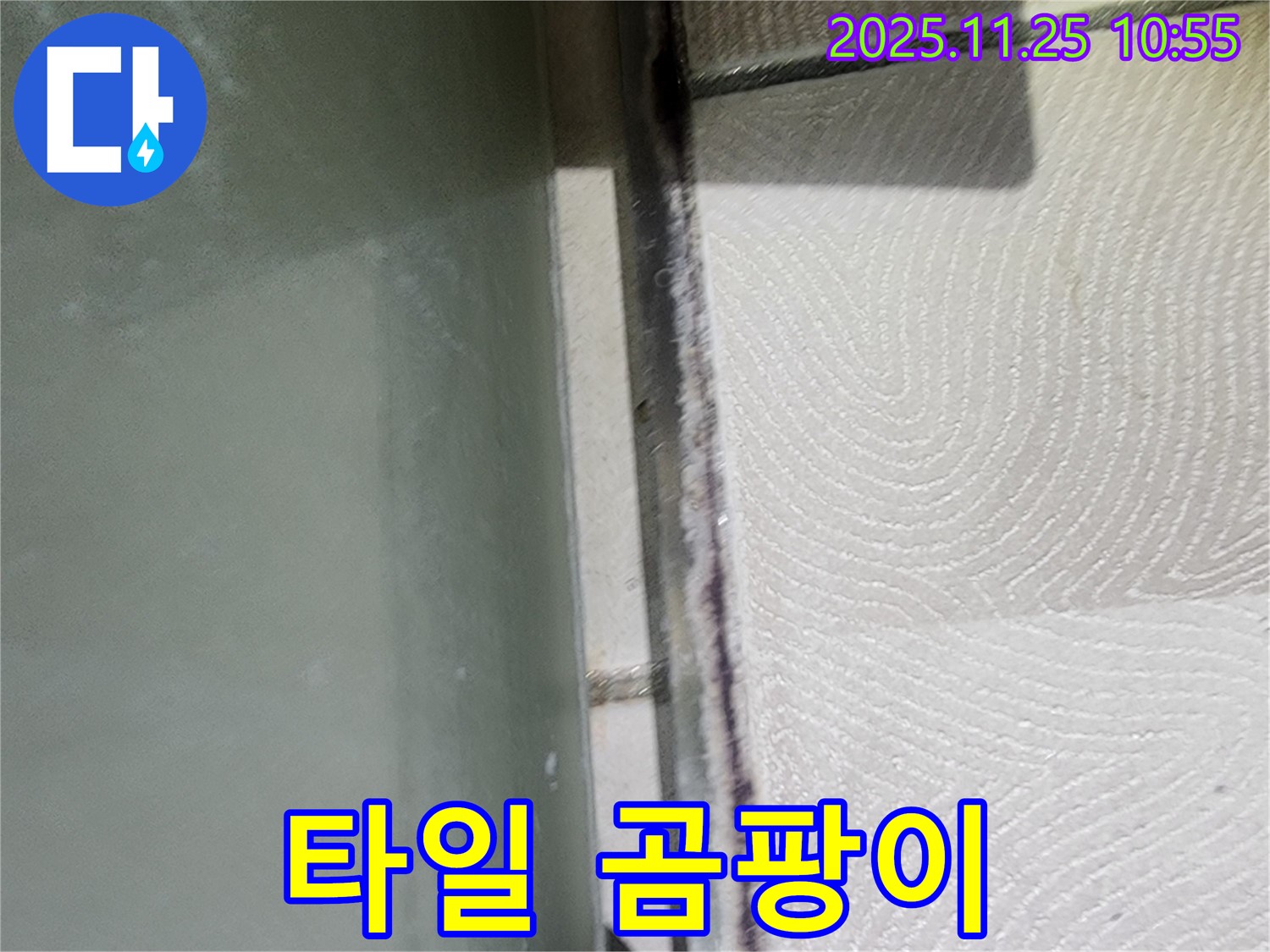 타일 곰팡이 - 꼼꼼 점검 - 완벽 시공