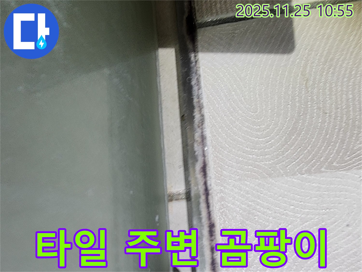 타일 주변 곰팡이 - 누수 가능성 - 원인 점검.