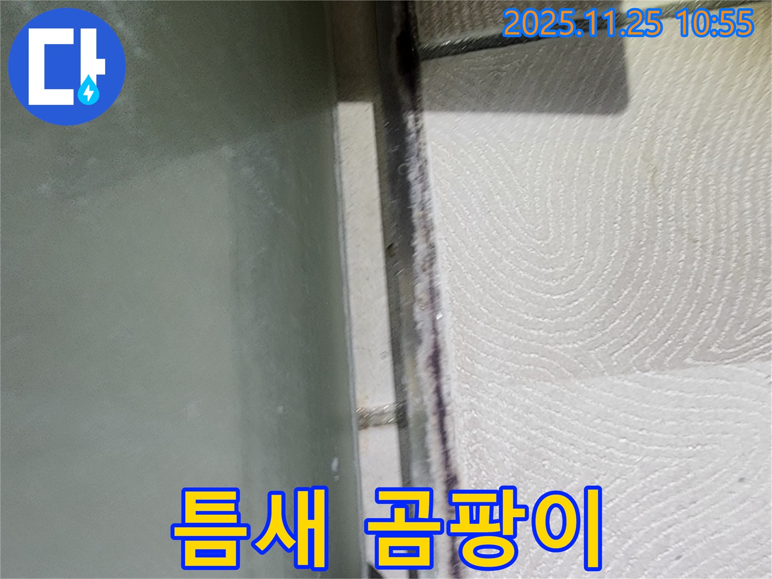 틈새 곰팡이 - 초기 증상 - 완벽 해결
