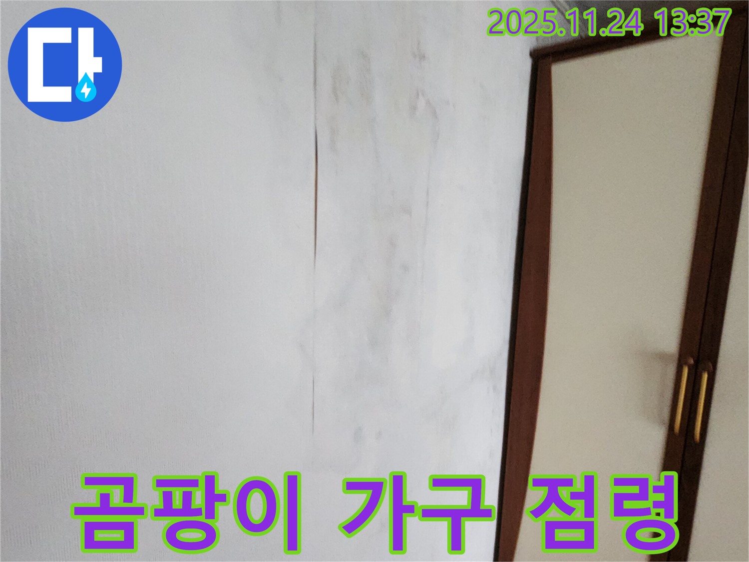 곰팡이 - 가구까지 점령 - 방치 금지
