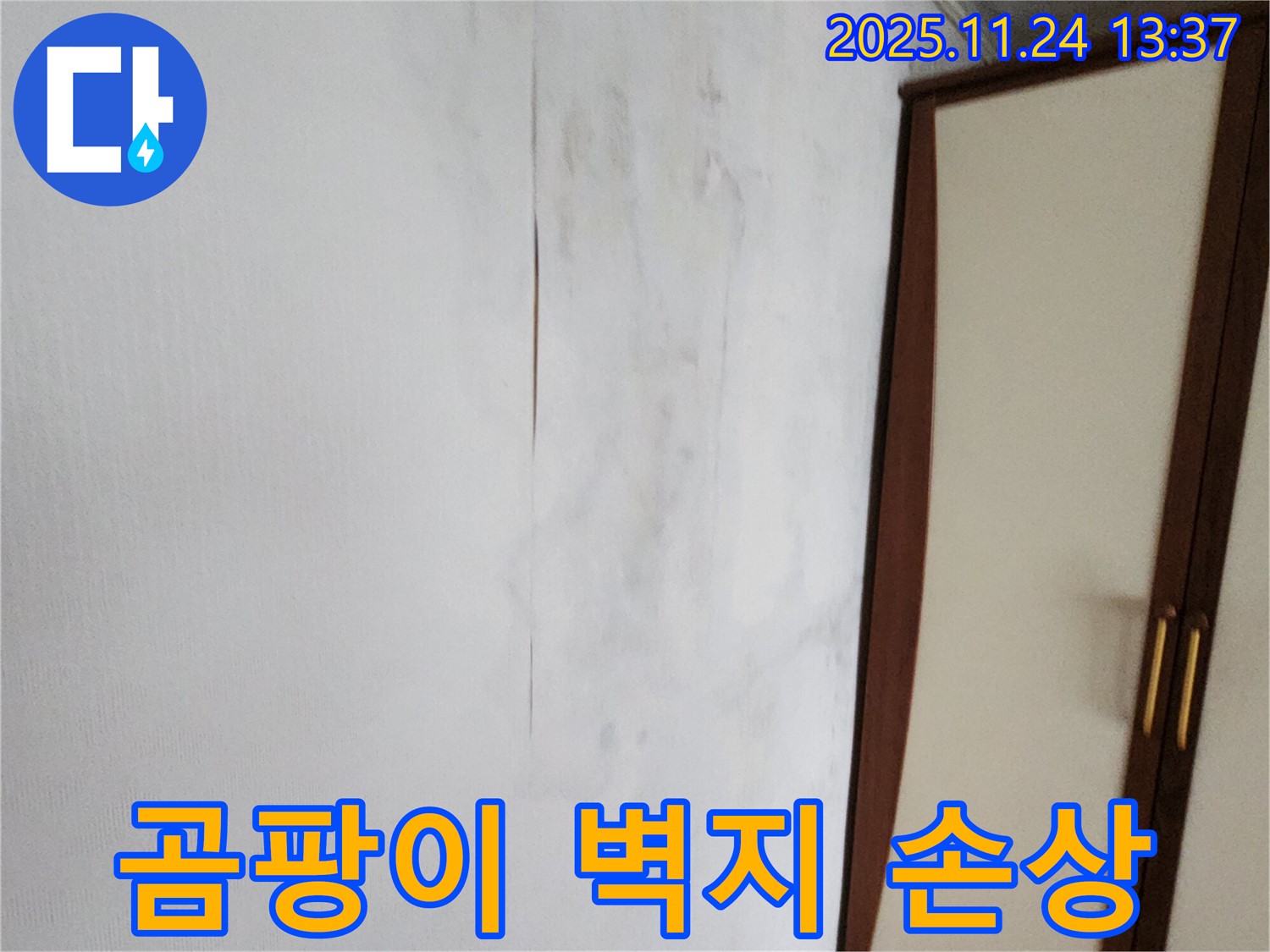 곰팡이 - 벽지 손상 - 분위기 망침