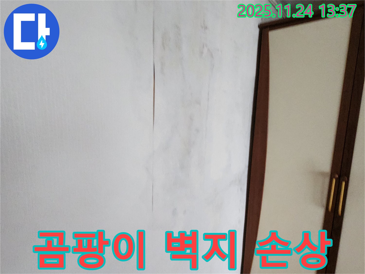 곰팡이 - 벽지 손상 - 분위기 망침 - 해결책