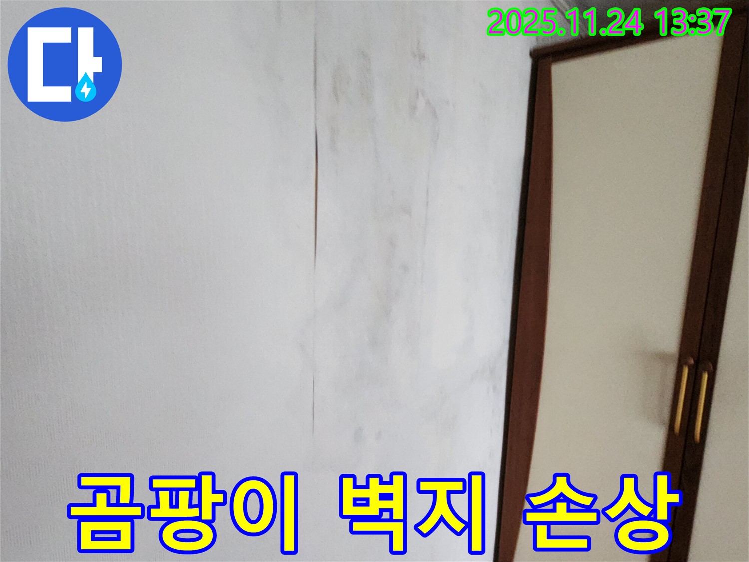 곰팡이 - 벽지 손상 - 분위기 망침 - 해결책