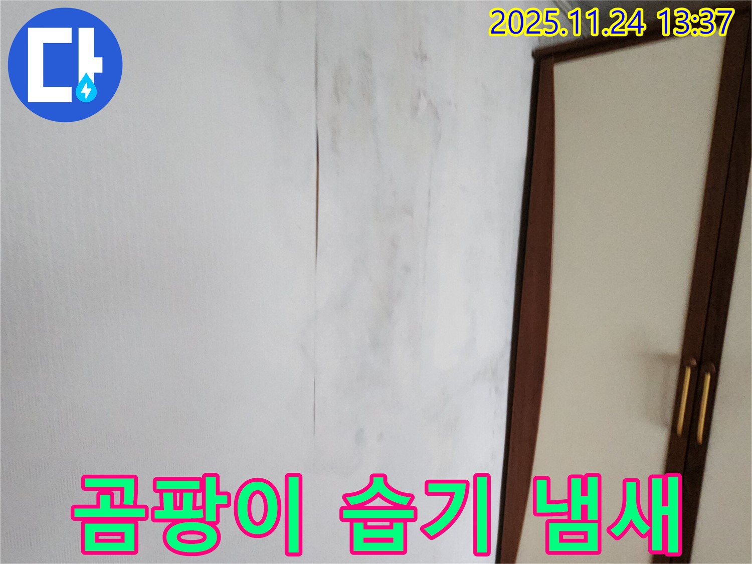 곰팡이 - 습기 - 꿉꿉한 냄새 - 누수 3박자