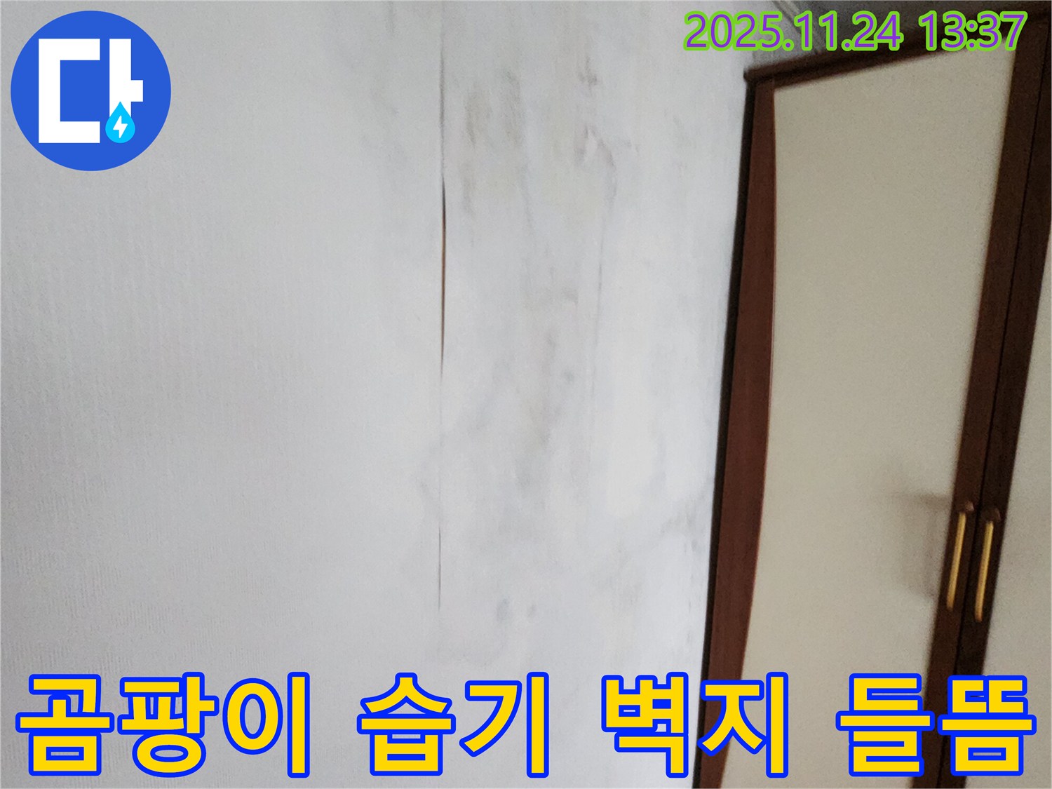 곰팡이 - 습기 - 벽지 들뜸 - 누수 신호탄