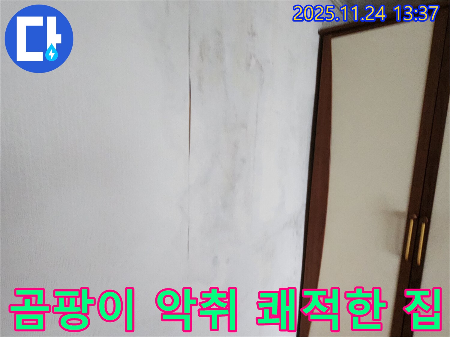 곰팡이 - 악취 - 쾌적한 우리 집 되찾기