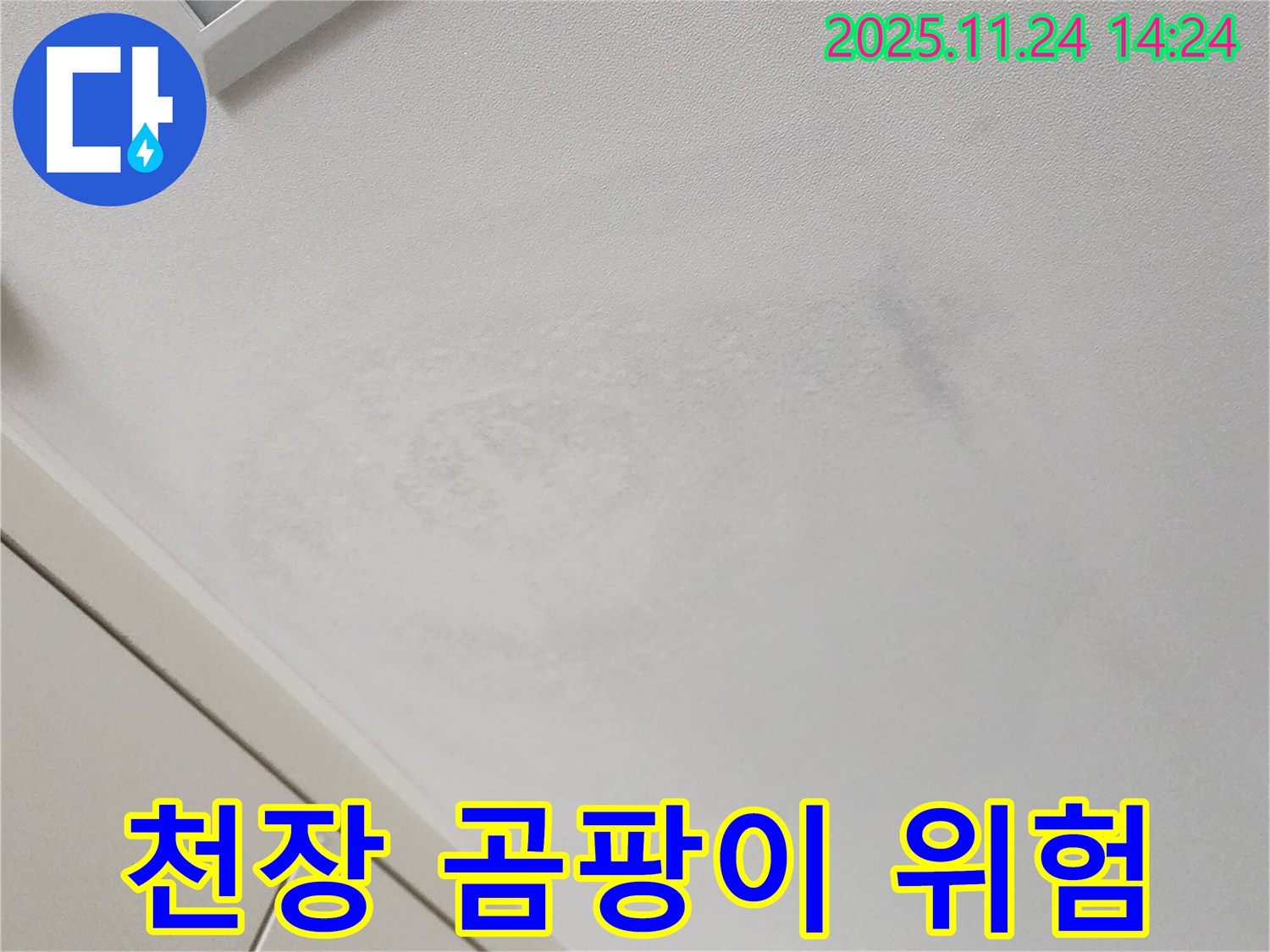 곰팡이 위험 - 건강 위협