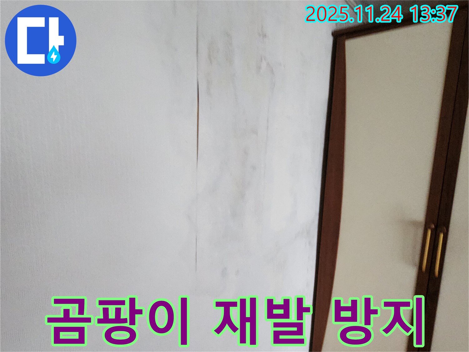 곰팡이 재발 방지 - 완벽한 시공 약속