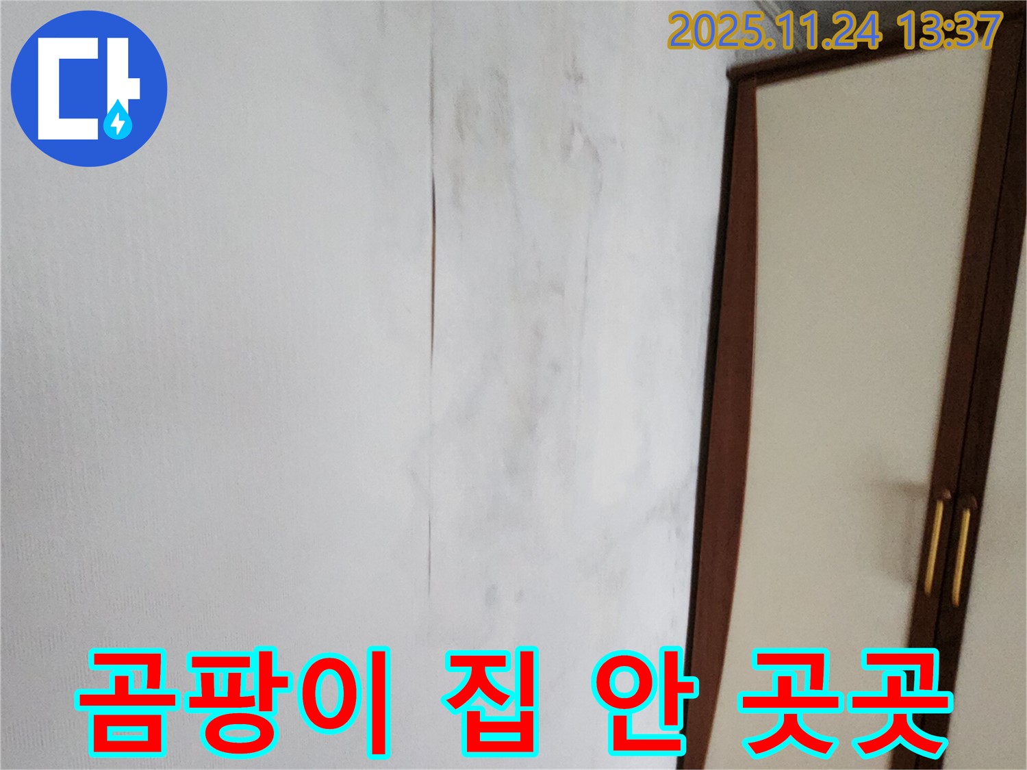 곰팡이 - 집 안 곳곳 - 누수 해결 시급
