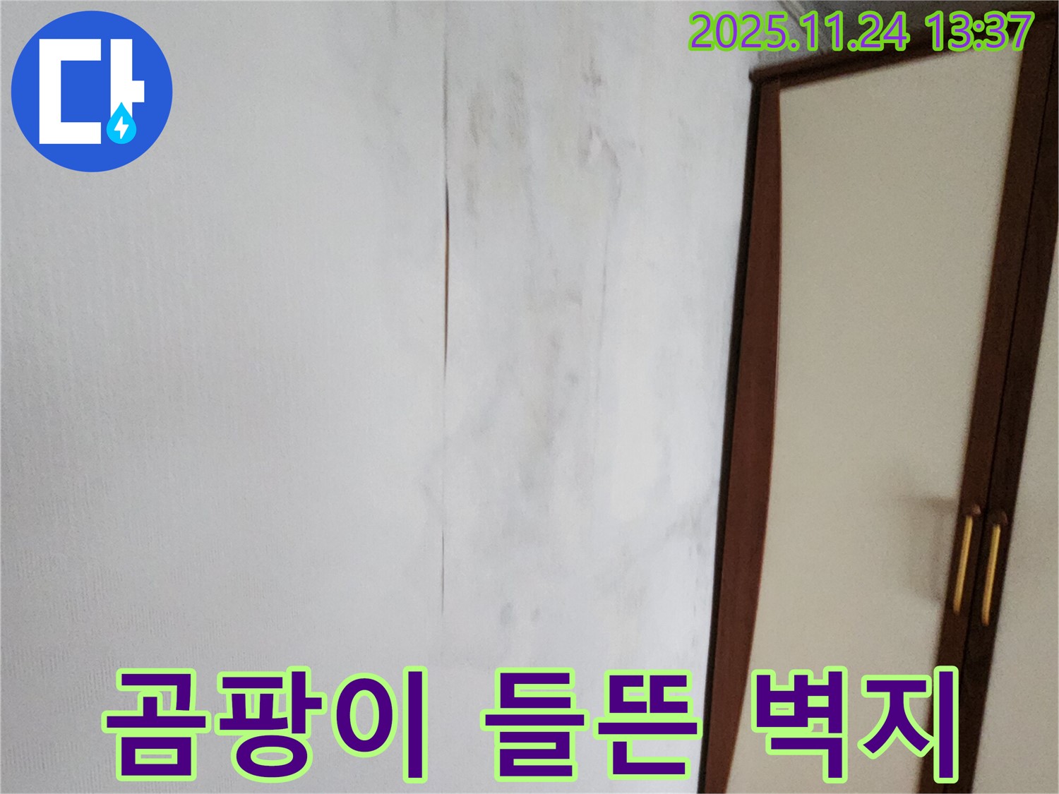 곰팡이와 들뜬 벽지 - 누수 의심