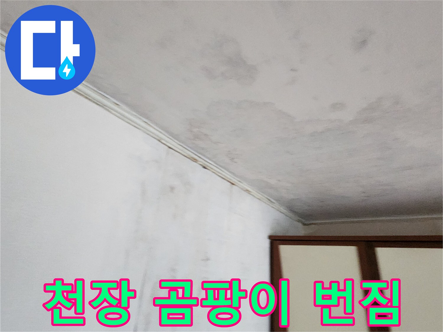 넓게 퍼져 있는 천장 벽지의 곰팡이 오염 부위