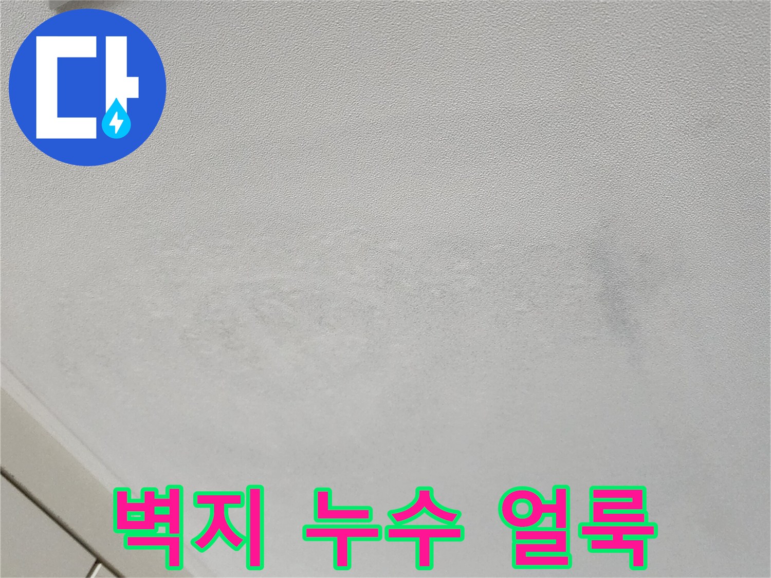 넓게 퍼진 천장 벽지의 어두운 변색 부위