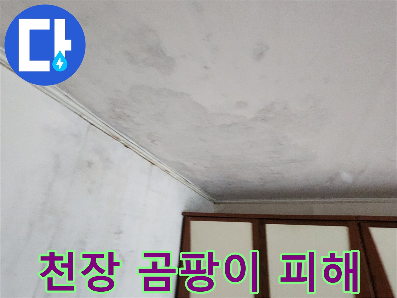 넓은-범위로-퍼진-천장-곰팡이와-얼룩