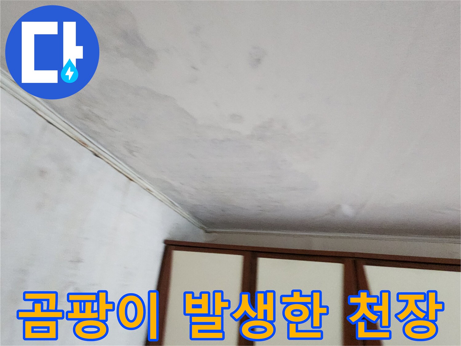 누수 피해로 인한-천장 벽지의 곰팡이와 얼룩