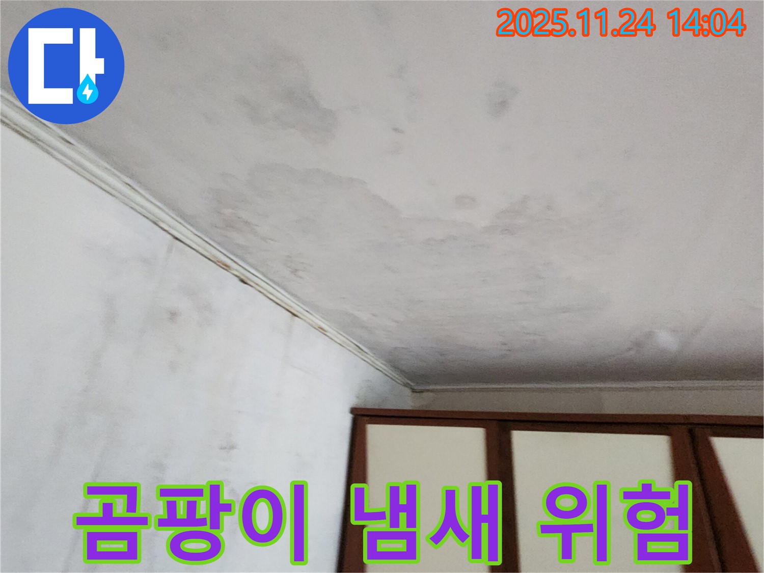 마전리 누수 - 곰팡이 냄새, 건강 위협