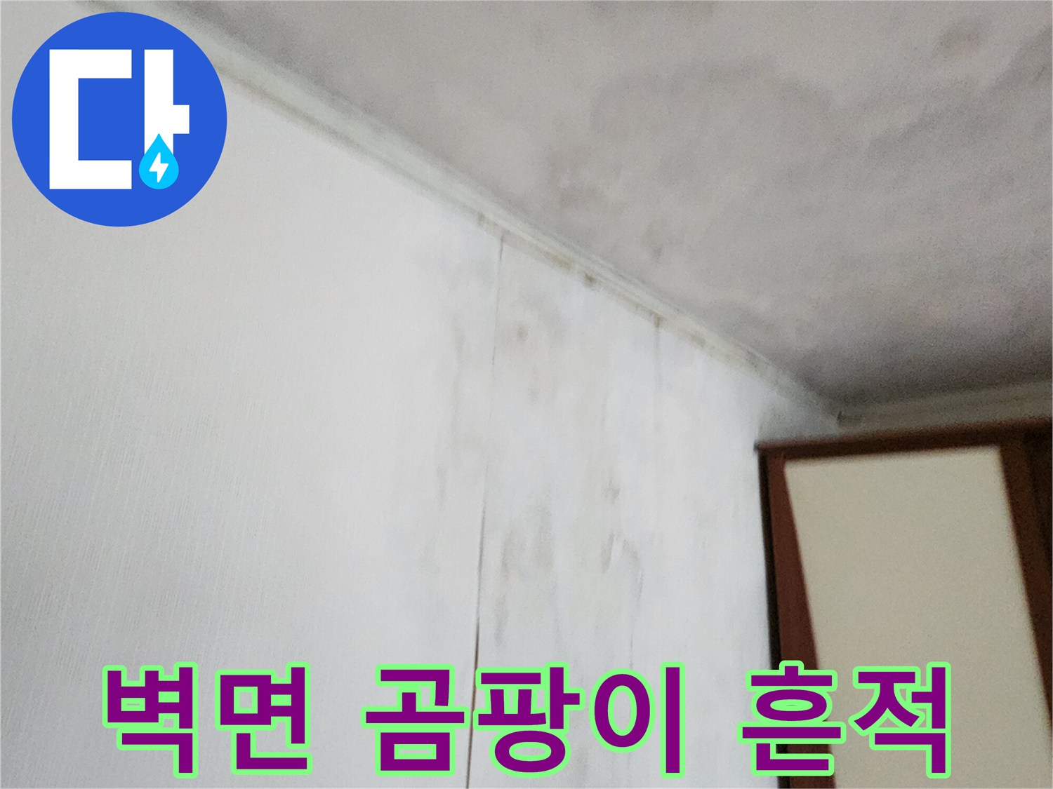 물샘으로 인해 변색되고 곰팡이가 생긴 천장 벽지