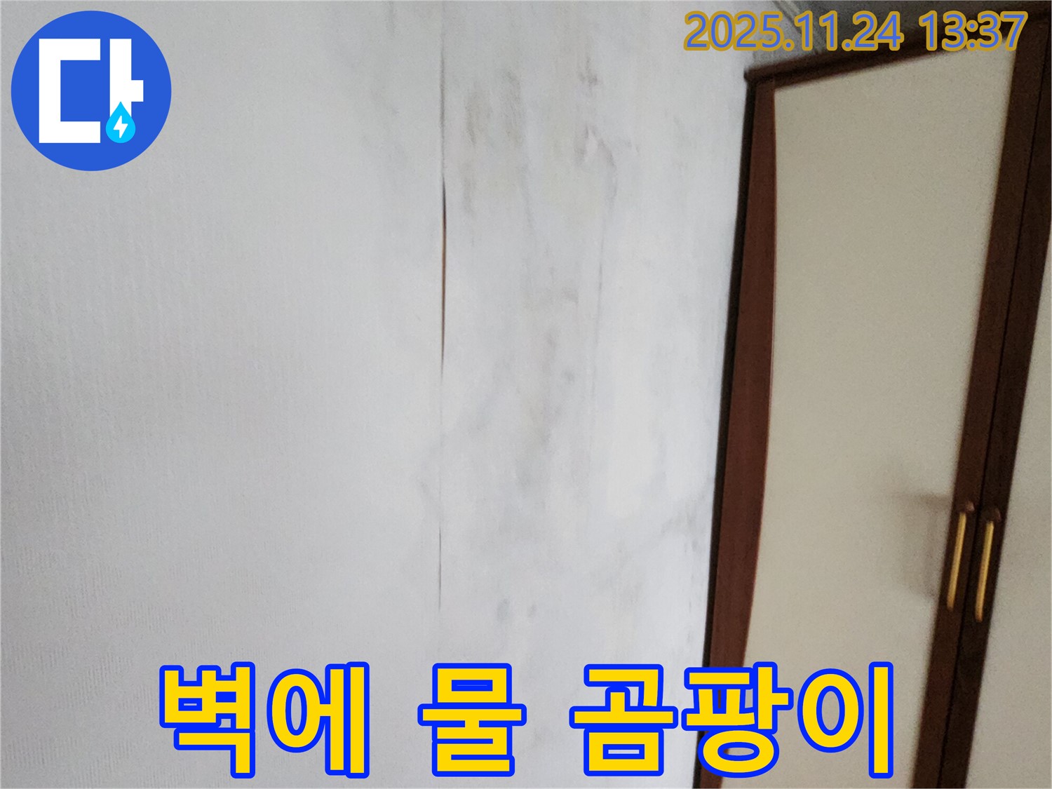벽에 물 - 곰팡이 번식 주의 - 빠른 조치