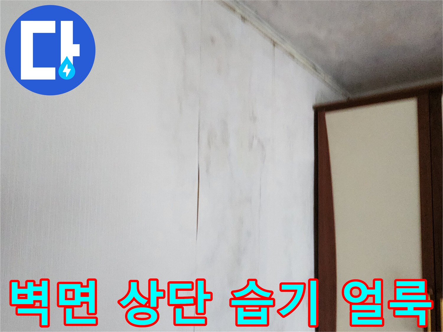 벽지 경계선을 따라 넓게 퍼진 누수 흔적과 곰팡이