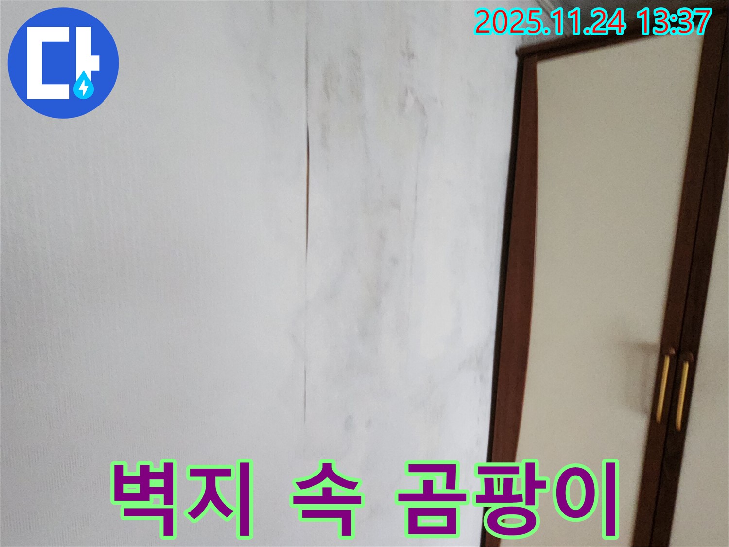벽지 속 곰팡이 - 가족 건강 위협