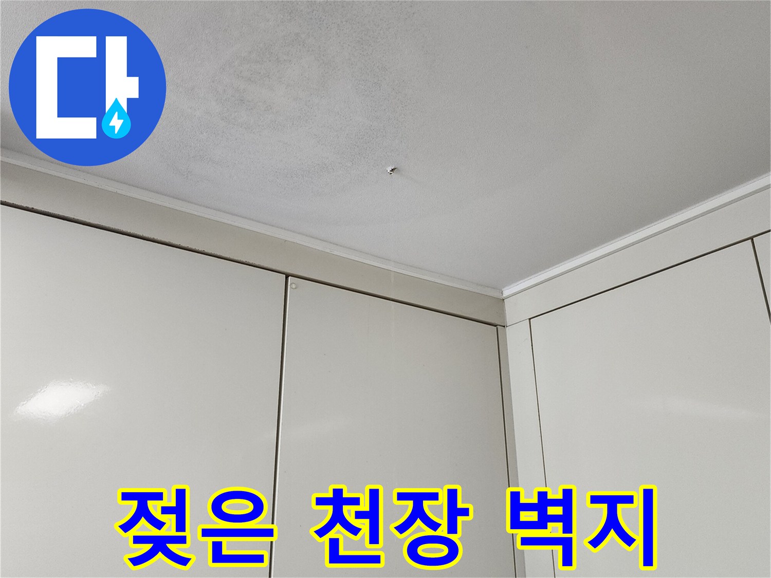 습기로 인해 변색되고 곰팡이가 생긴 천장