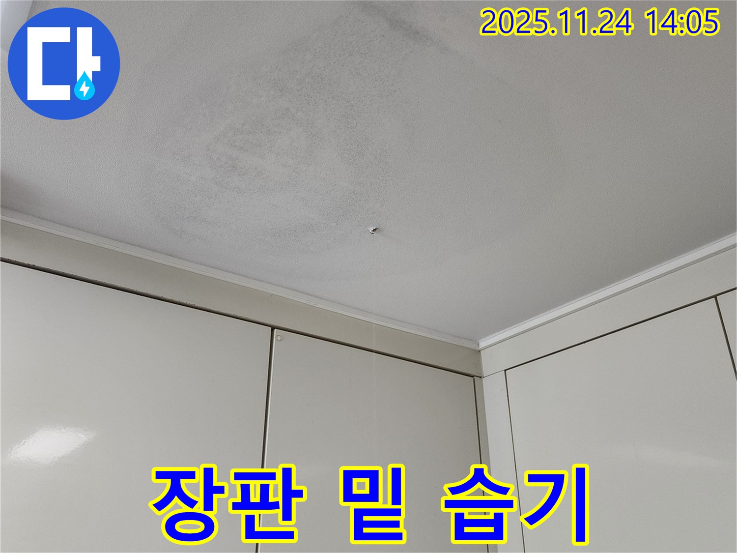 장판 밑 습기 - 누수로 인해 장판 밑에 습기가 차 있는 모습