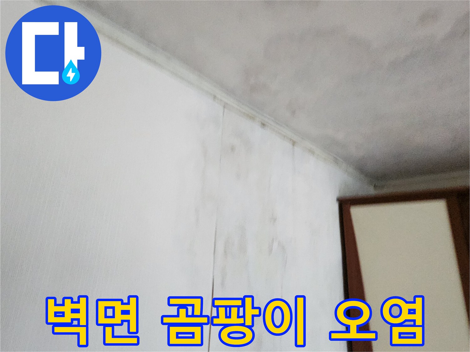 천장 부근의 넓은 곰팡이 번식 상태