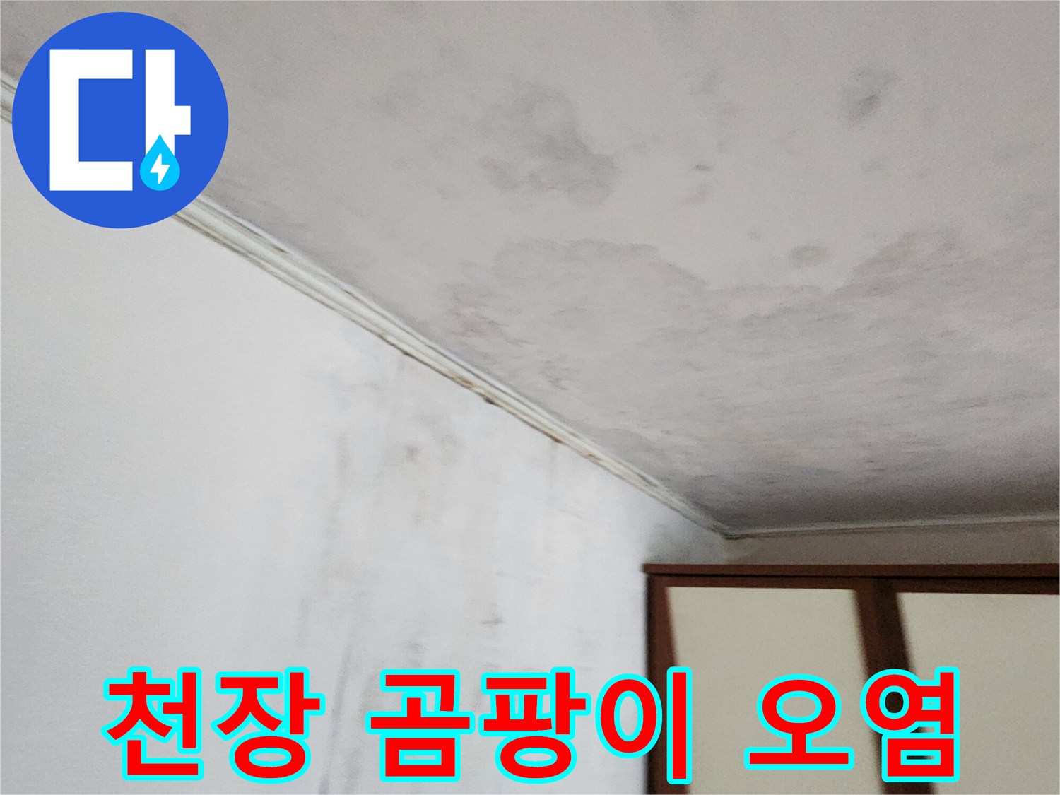 천장 부근의-심각한 곰팡이와 물자국 흔적