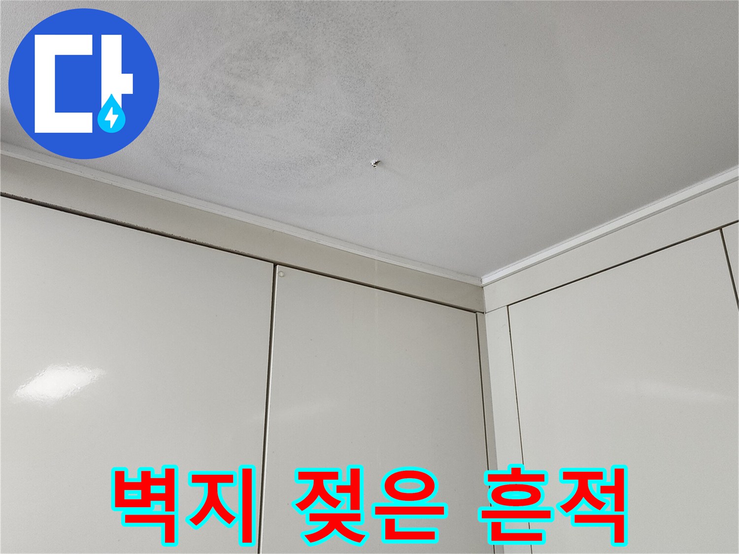 천장 상단 벽면의 곰팡이와 습기 오염 부위