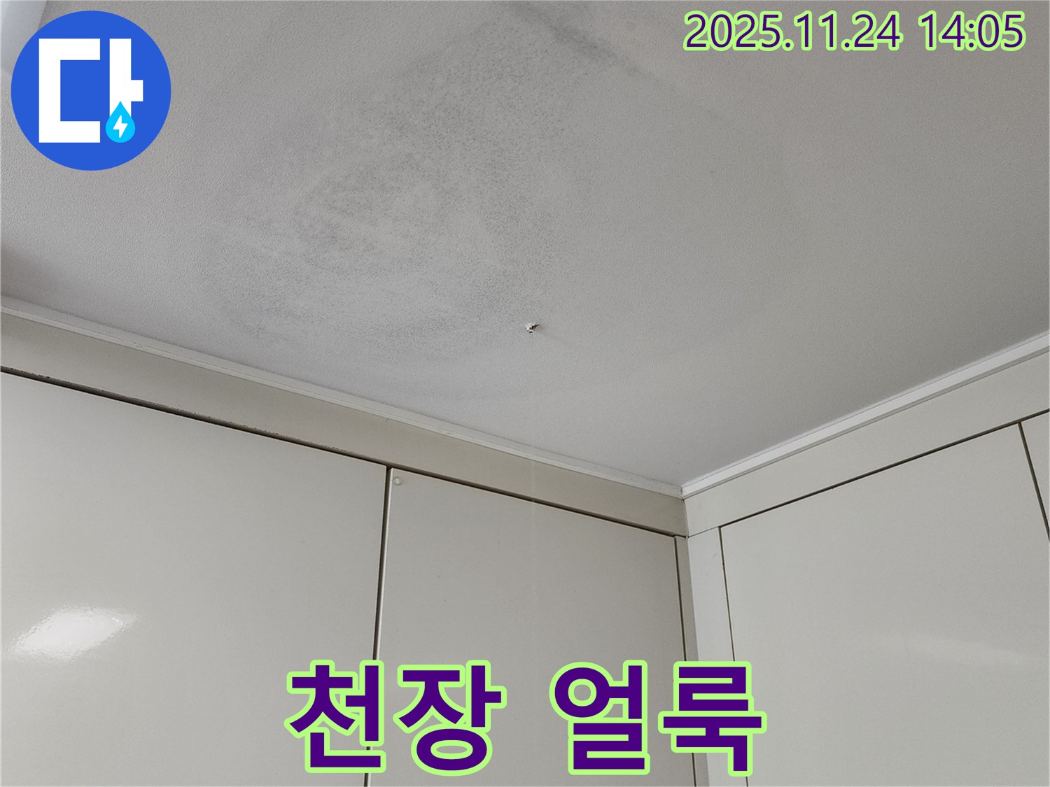 천장 얼룩 - 누수로 인한 천장 얼룩 - 곰팡이 발생의 초기 증상
