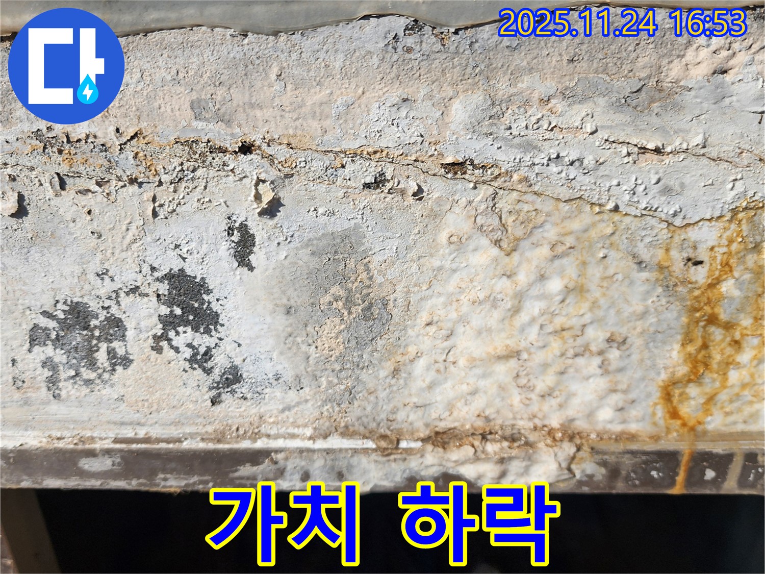벽면 손상 - 얼룩과 벽면 손상 - 부동산 가치 하락
