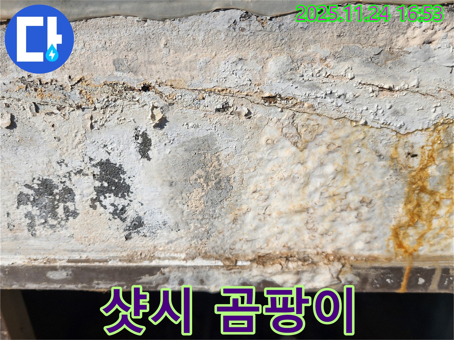 샷시 주변 곰팡이 - 결로 현상 - 건강 위협