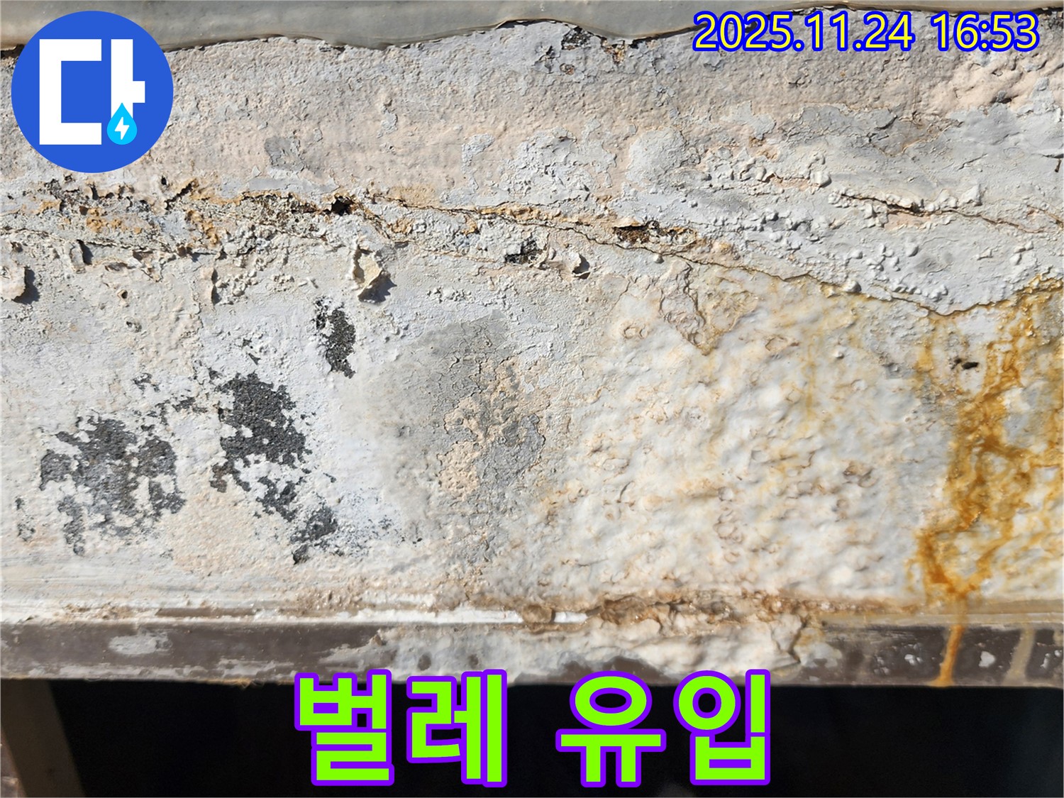외벽 틈새 - 벌레 유입 - 위생 문제