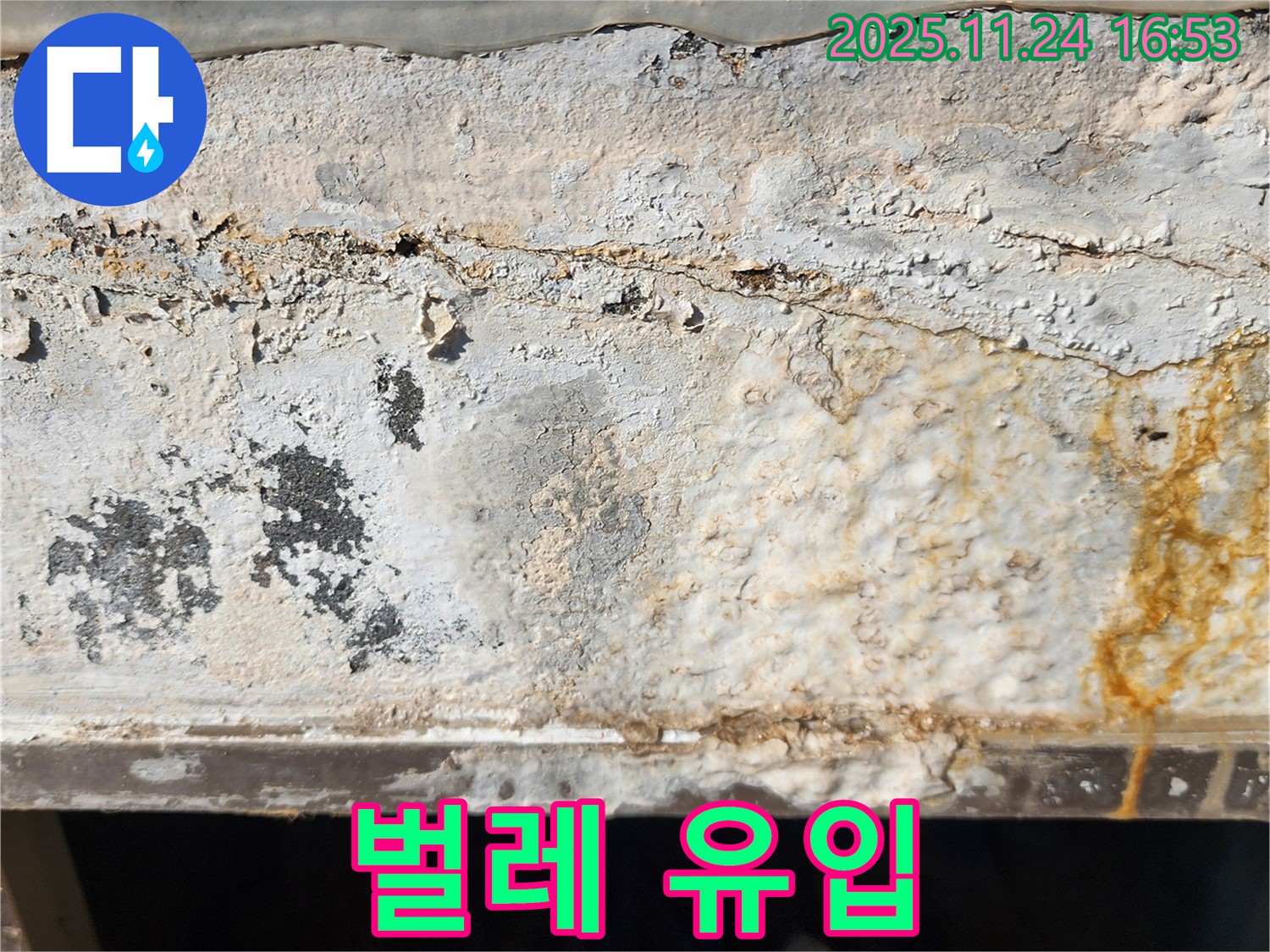 외벽 틈새 - 벌레 유입 - 위생 문제