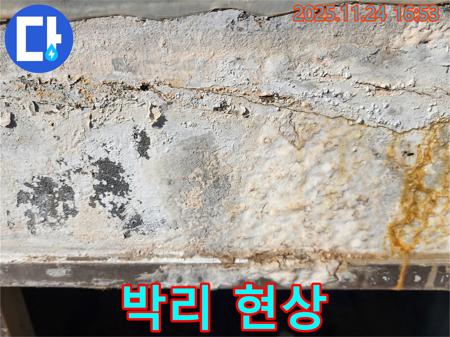 콘크리트 박리 - 건물 안전 - 긴급 보수