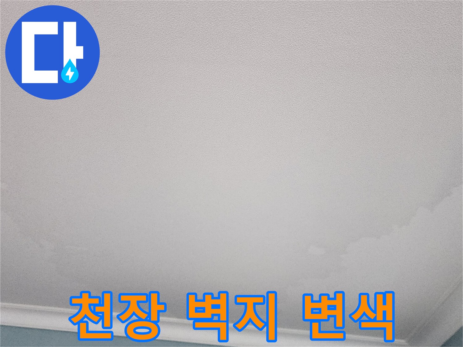 축축하게-젖어있는-천장-도배지-표면