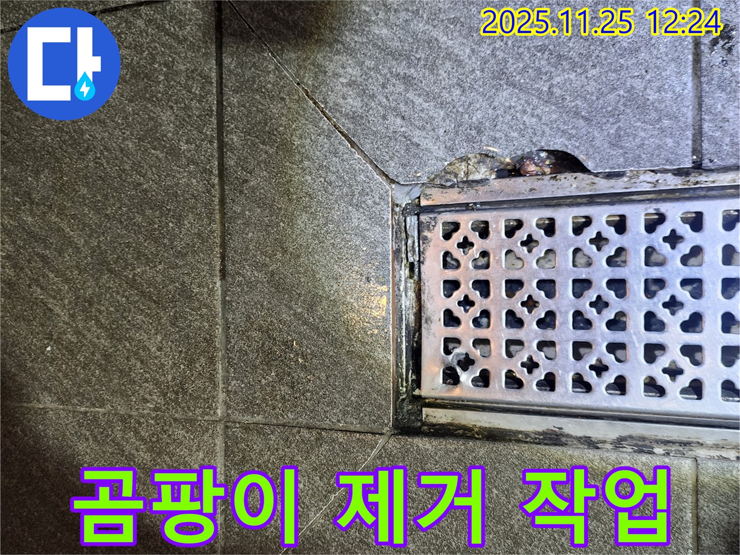 배수구 주변 곰팡이 제거 - 깨끗하고 쾌적한 욕실 환경
