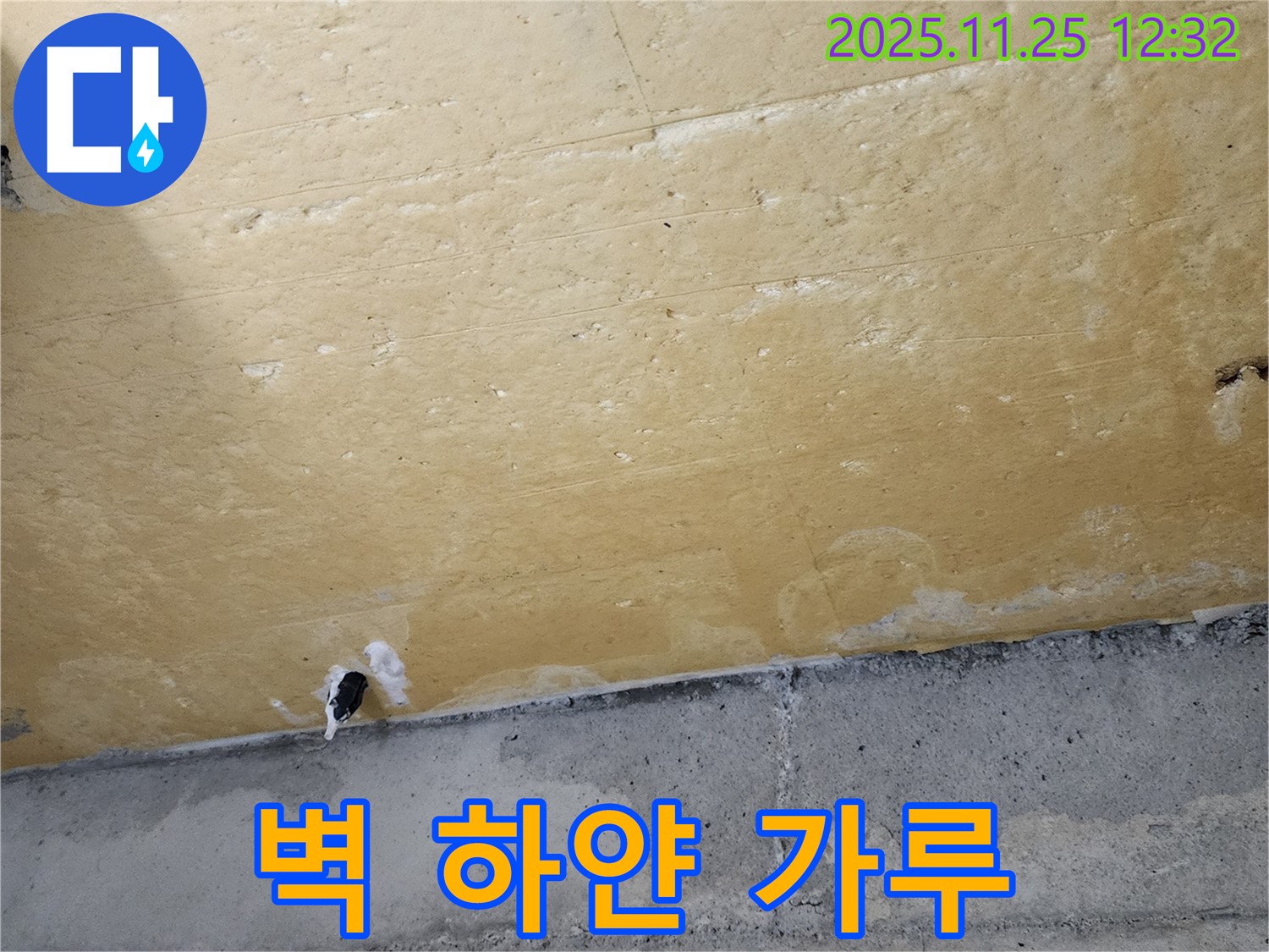 벽 하얀 가루 - 석회 용출 - 누수 가능성 - 정밀 진단