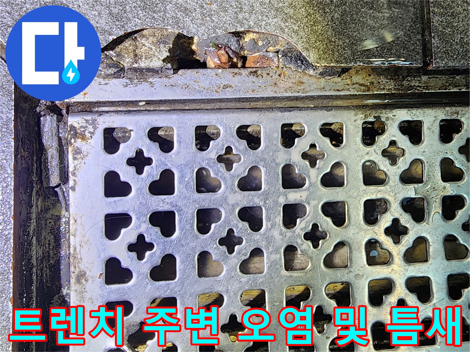 식당-주방-배수구-트렌치-주변-습기-및-오염