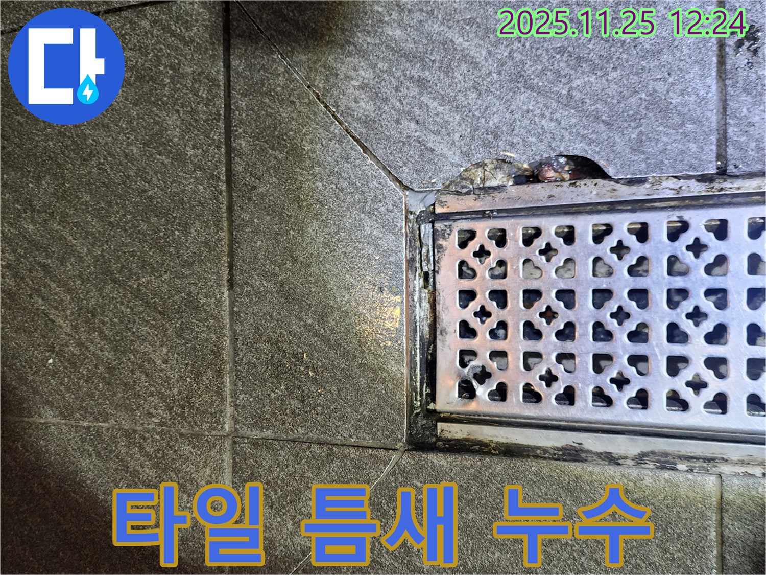 욕실 타일 틈새 누수 - 꼼꼼한 실리콘 보수 작업