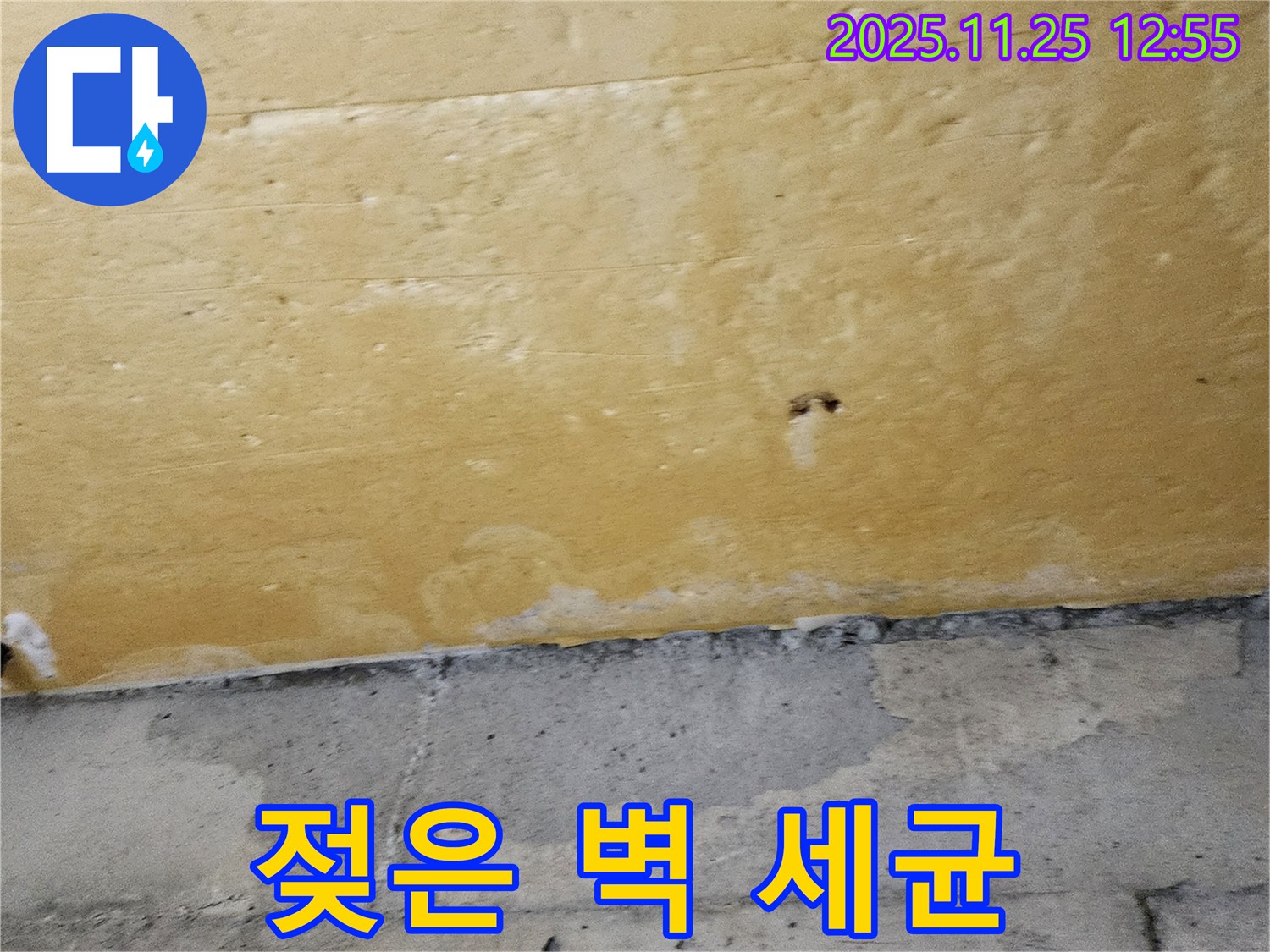 젖은 벽 세균 - 세균 번식 위험 - 위생 점검
