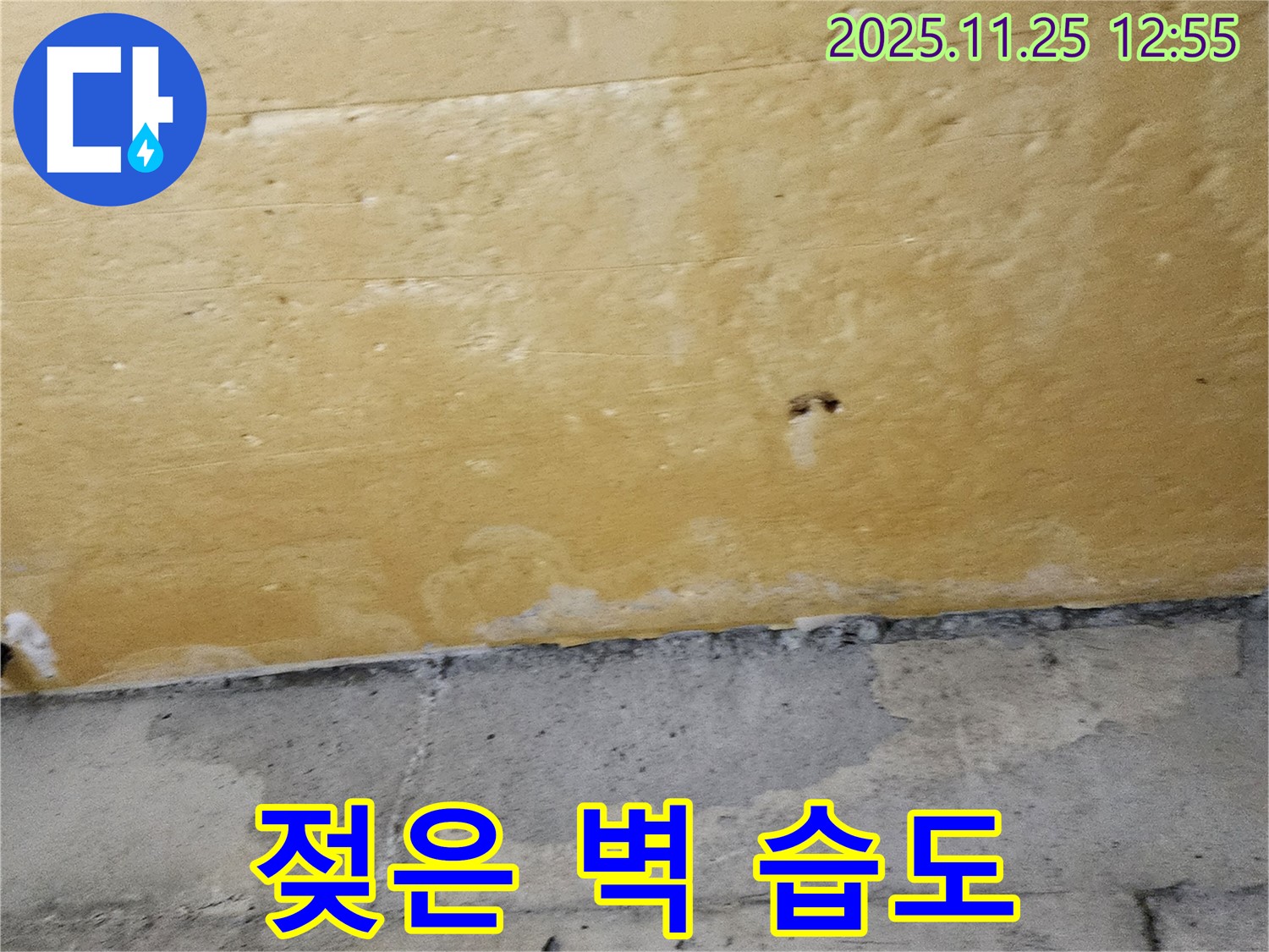 젖은 벽 - 습도 상승 주범 - 쾌적함 파괴