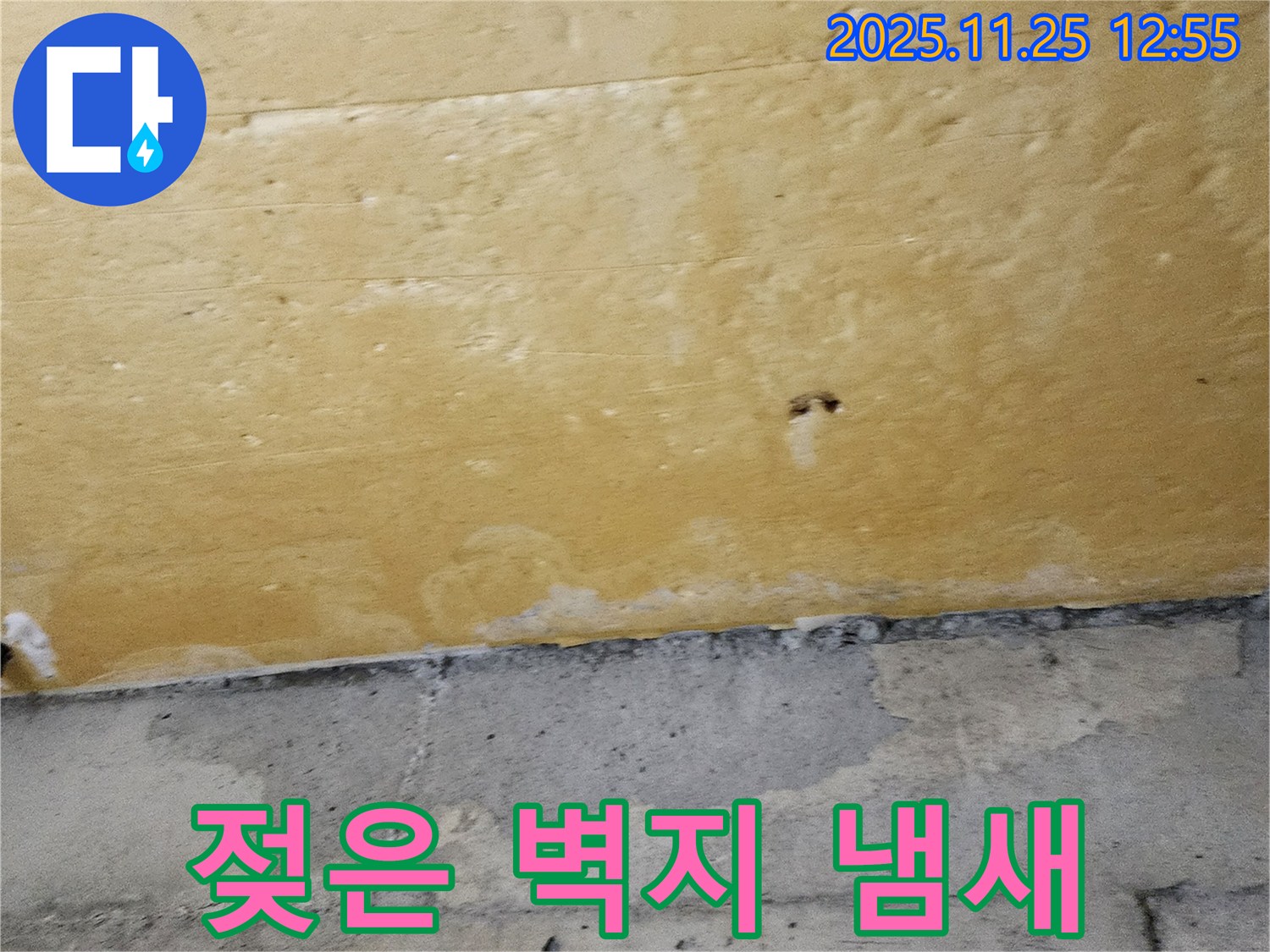 젖은 벽지 냄새 - 곰팡이 냄새 진동 - 불쾌감 유발